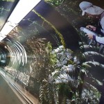 Campaña de Ente Tucumán Turismo. Estación de Subte Florida. Formato: Escalera mecánica (ploteo superior túnel).